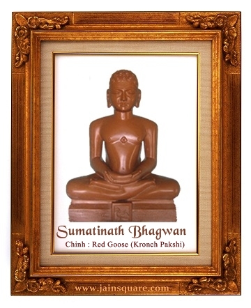 Sumatinatha Bhagwan in meditation — symbol of Jain renunciation